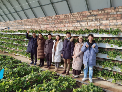 1760667272524202.png image.png